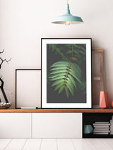 Palm Fronds Leaves Poster