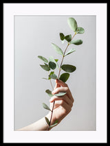 Hand on The Plant Poster