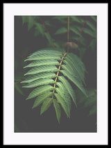 The Bean - Palm Fronds Leaves Poster