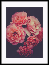 Floral Pink Roses Poster