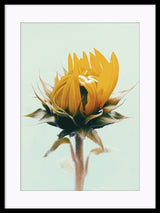 The Bean - Floral Sunflower Bloom Poster