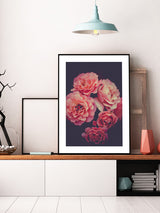 Floral Pink Roses Poster