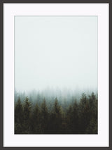 The Bean - Nature Forest Woods Poster